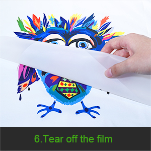 چسب ذوب گرم پودر DTF سفید پودر انتقال دیجیتال 500g / 17.6oz برای تمام پارچه 6