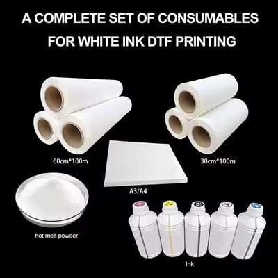 60cm*100m رول Hot Peel Double Site Coated Custom Heat Transfer Dtf Pet Film (فلم پالتو حیوانات خانگی با انتقال گرما سفارشی)